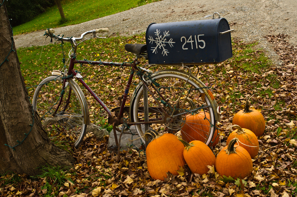 All-Season Bicycle