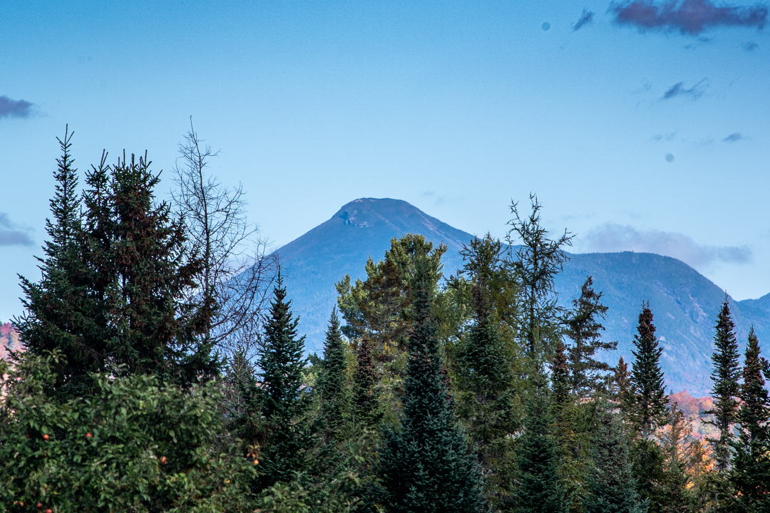 Mt. Colden