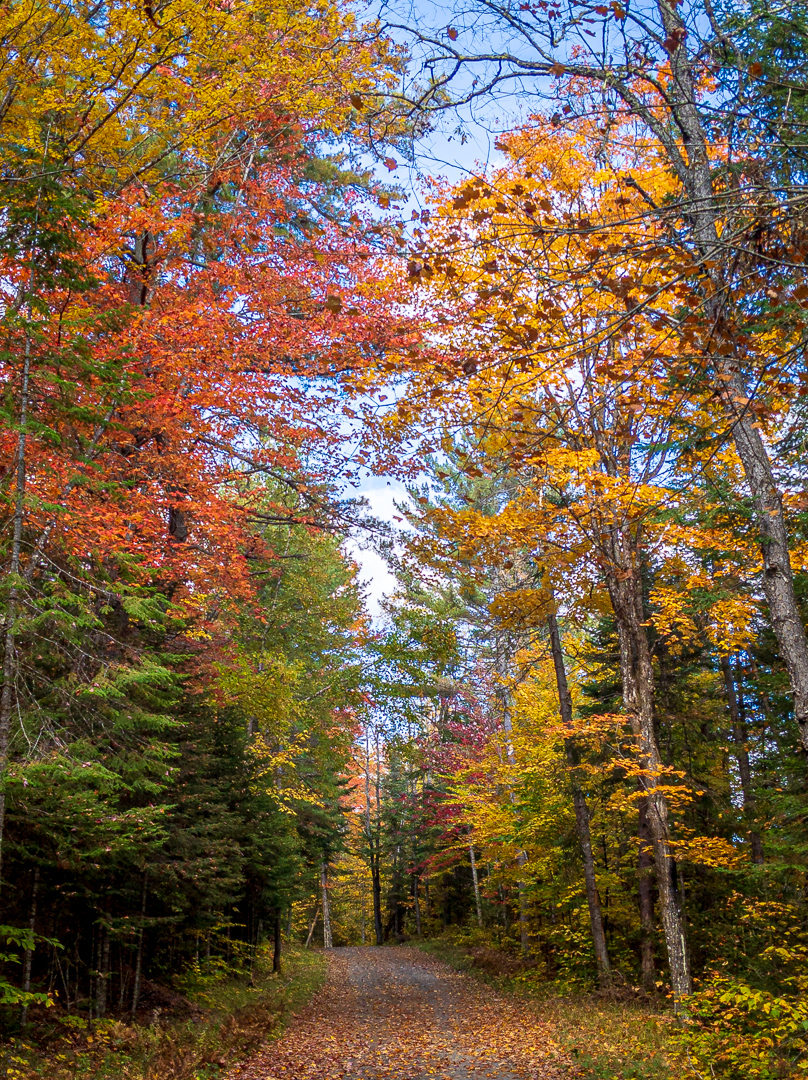 Carriage Road, Santanoni Preserve