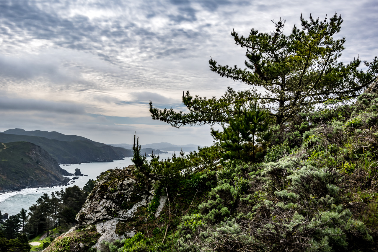 Muir Beach Overlook