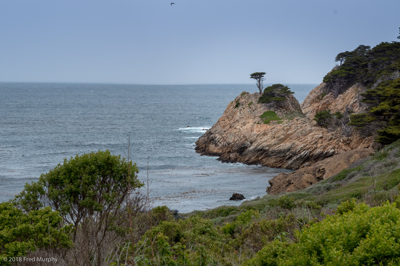 Point Lobos