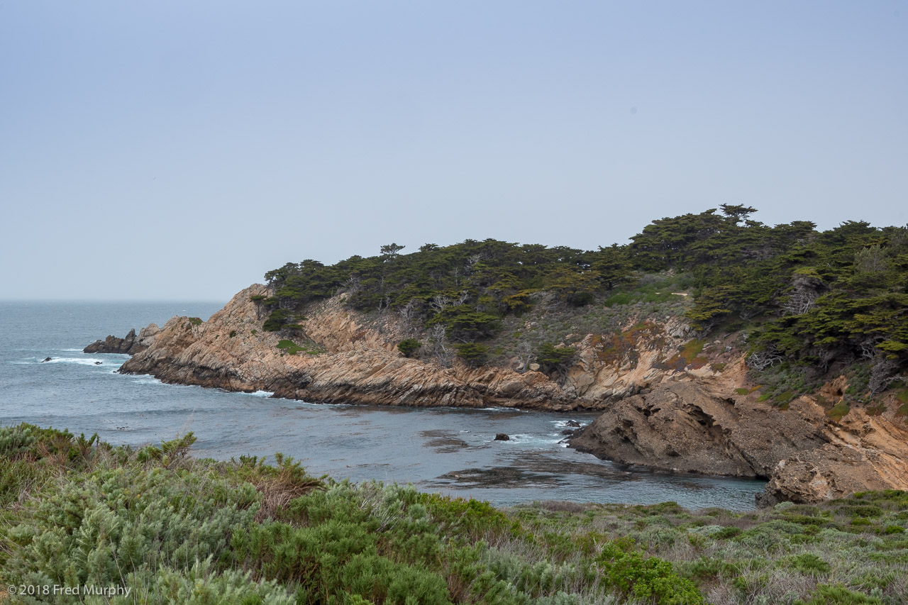 Point Lobos