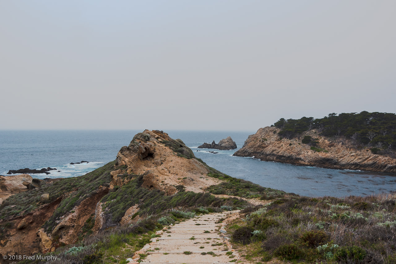 Point Lobos