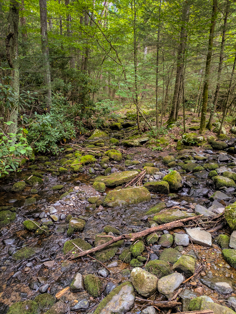 Neversink Gorge Trails