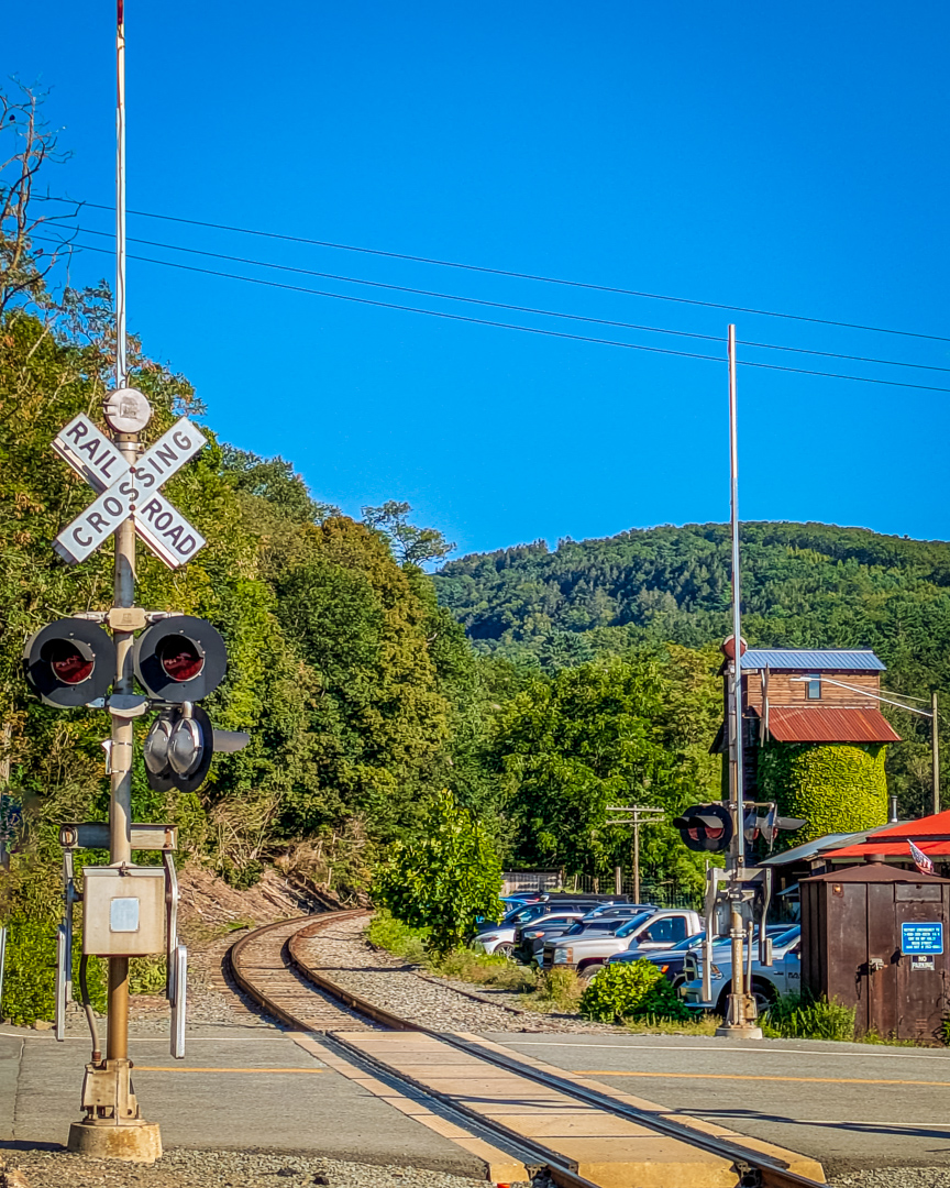 Callicoon