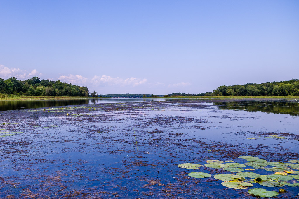 Little Otter Creek