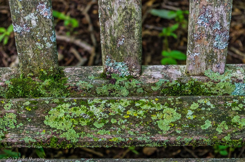 Charlotte Park and Wildlife Refuge