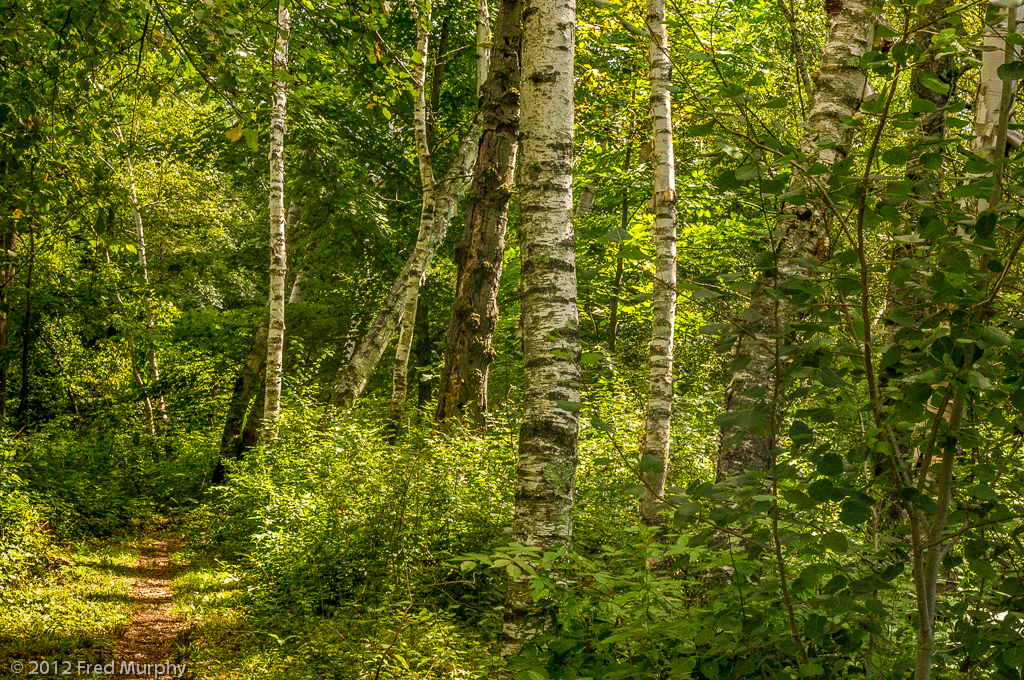 Charlotte Park and Wildlife Refuge