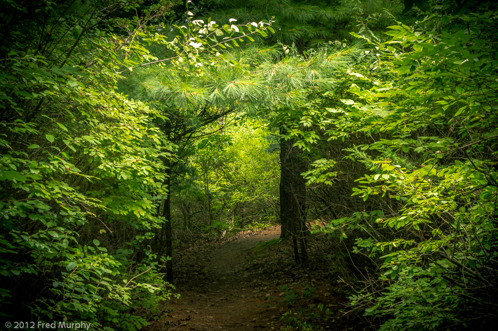 Charlotte Park and Wildlife Refuge