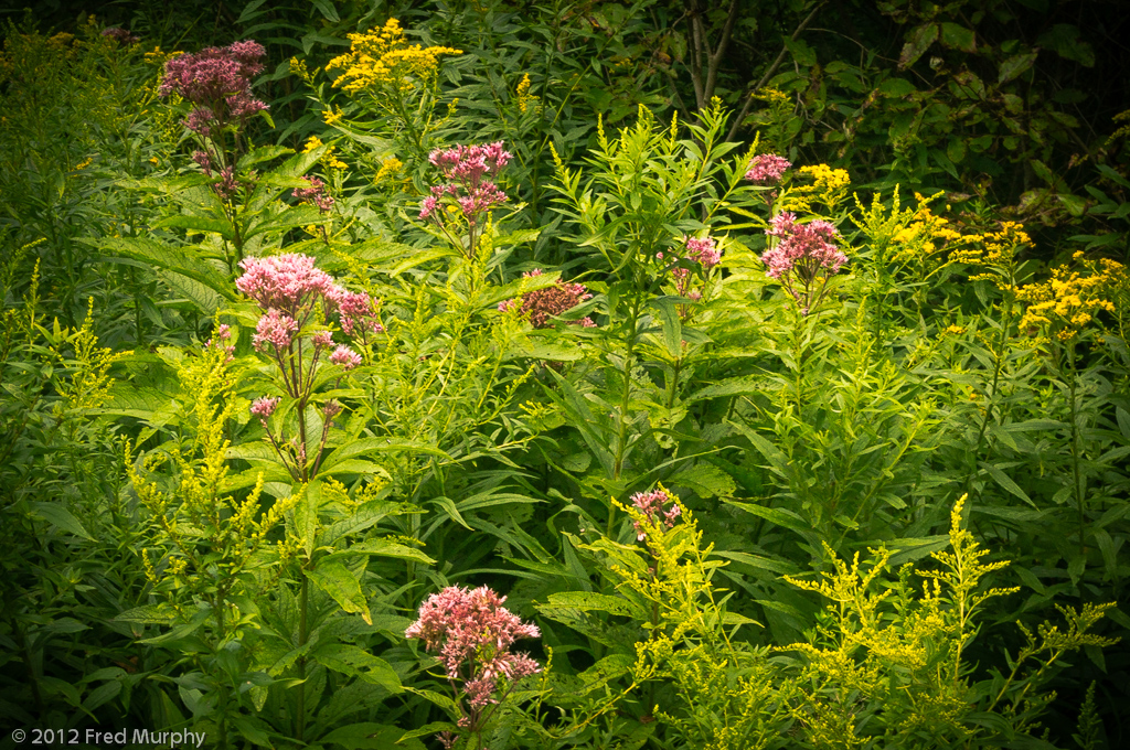 Charlotte Park and Wildlife Refuge