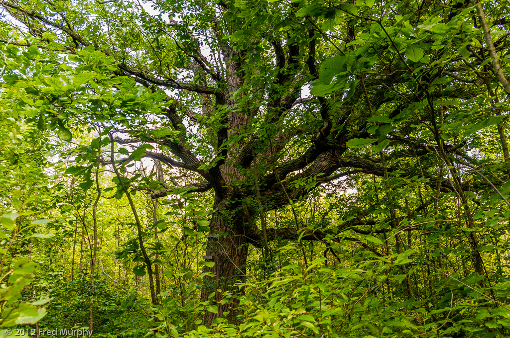 Charlotte Park and Wildlife Refuge