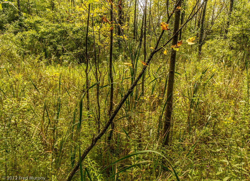 Charlotte Park and Wildlife Refuge