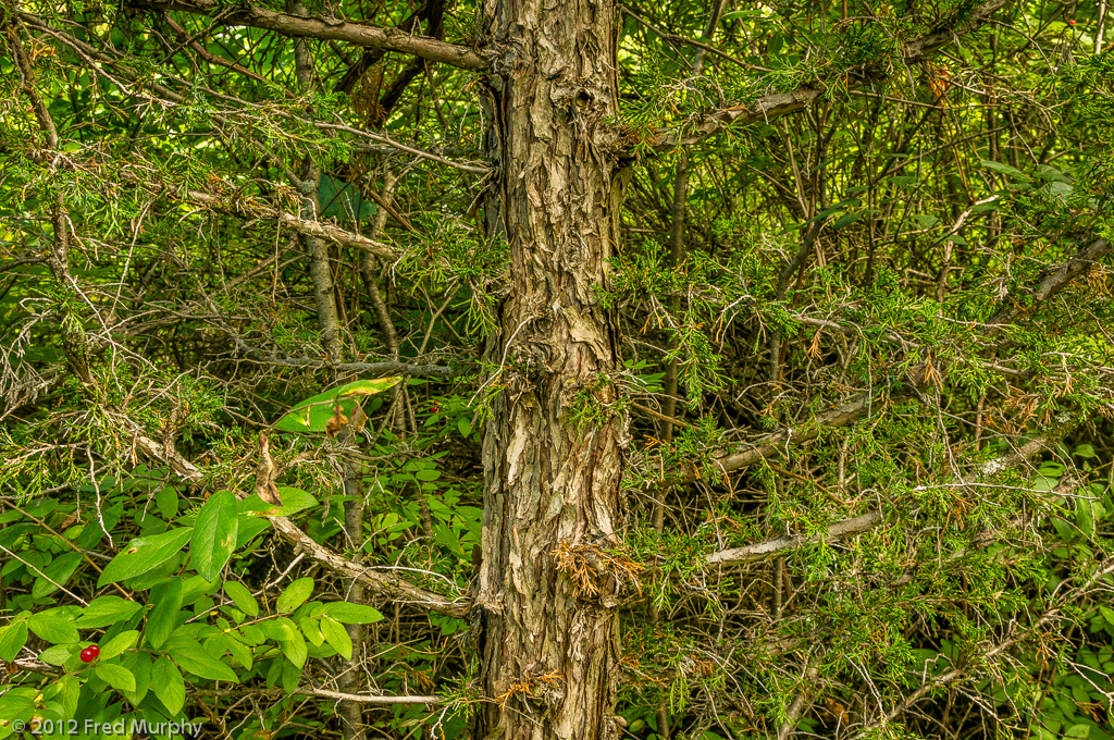 Charlotte Park and Wildlife Refuge