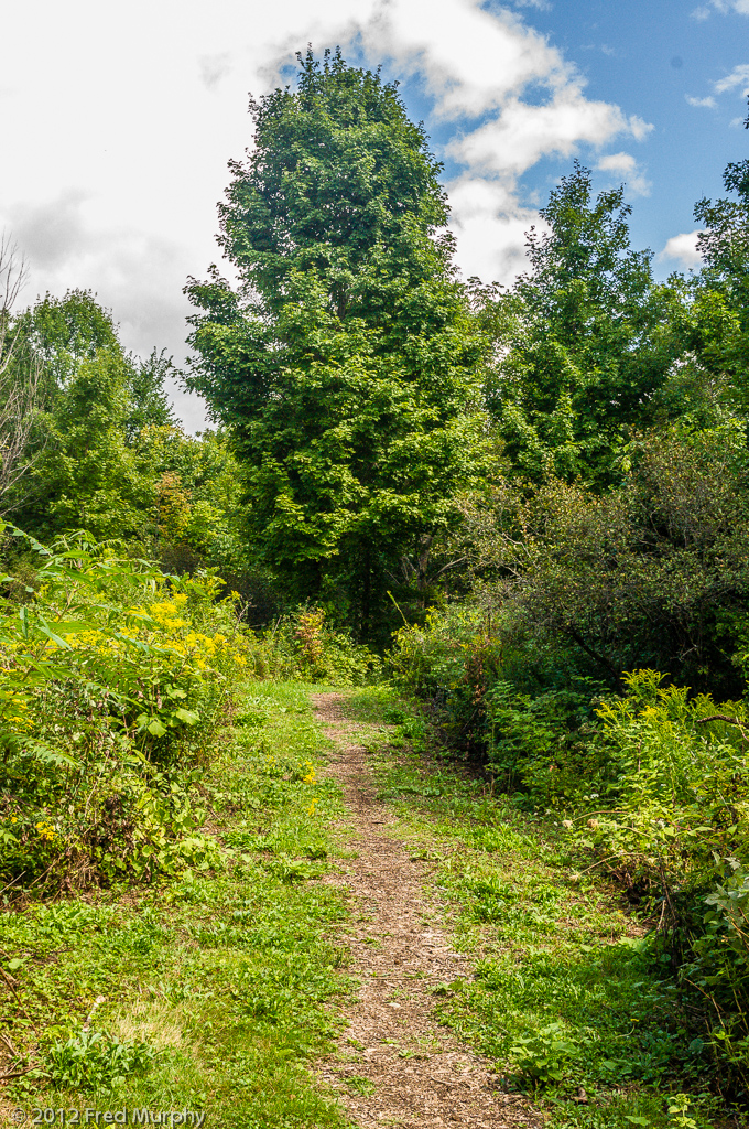 Charlotte Park and Wildlife Refuge