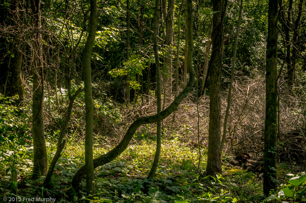 Charlotte Park and Wildlife Refuge