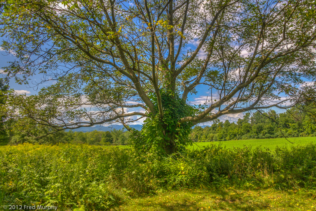 Charlotte Park and Wildlife Refuge