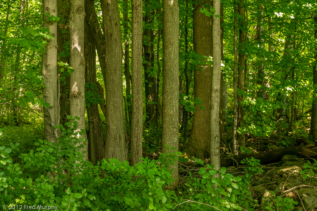 Charlotte Park and Wildlife Refuge