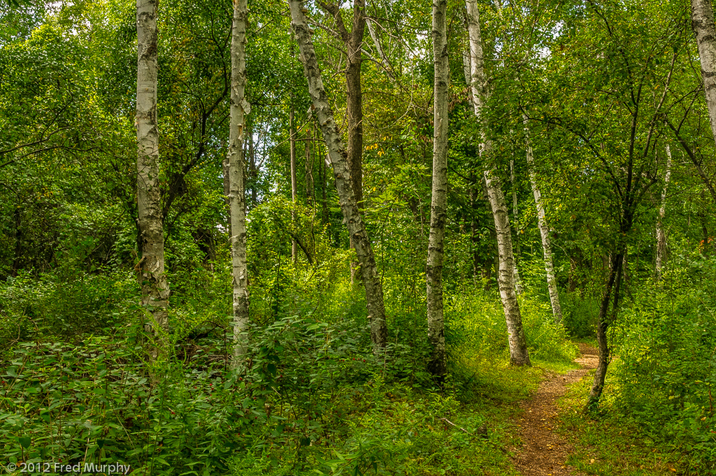 Charlotte Park and Wildlife Refuge