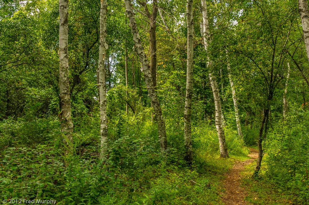 Charlotte Park and Wildlife Refuge