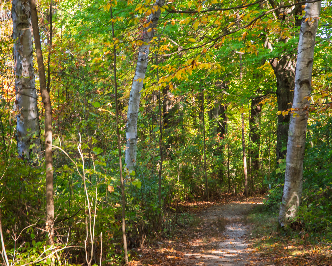Charlotte Park and Wildlife Refuge