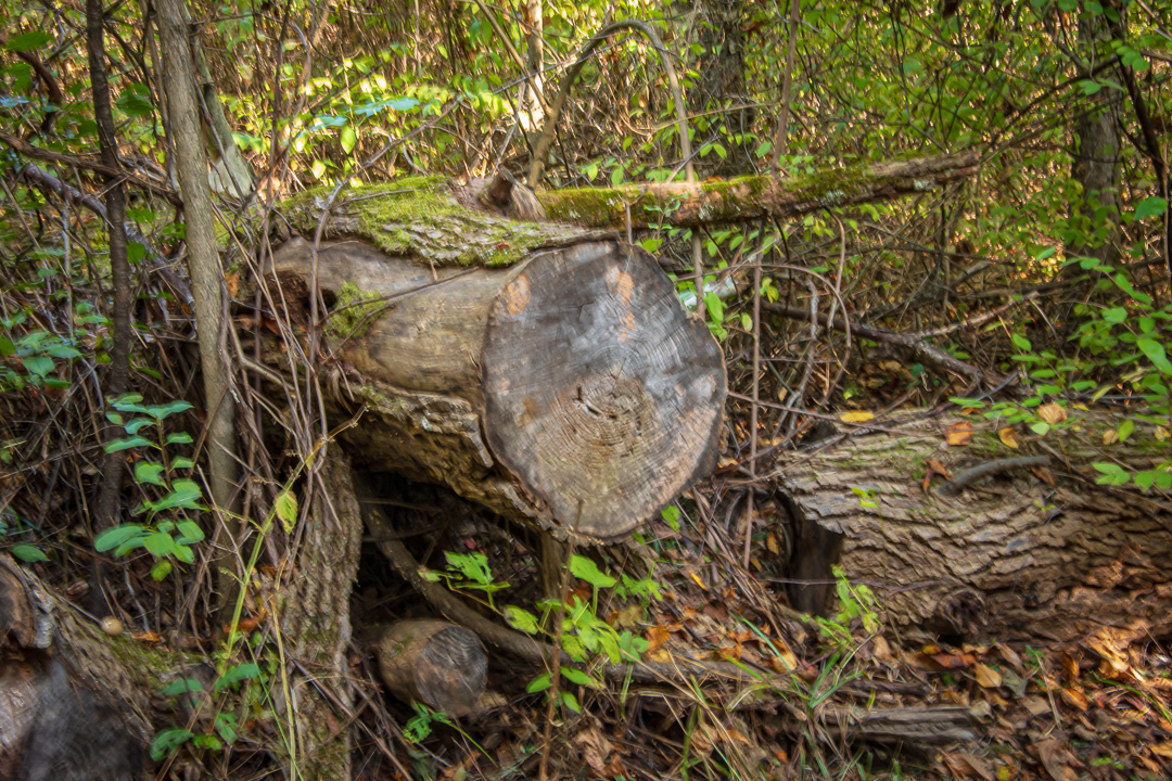 Charlotte Park and Wildlife Refuge