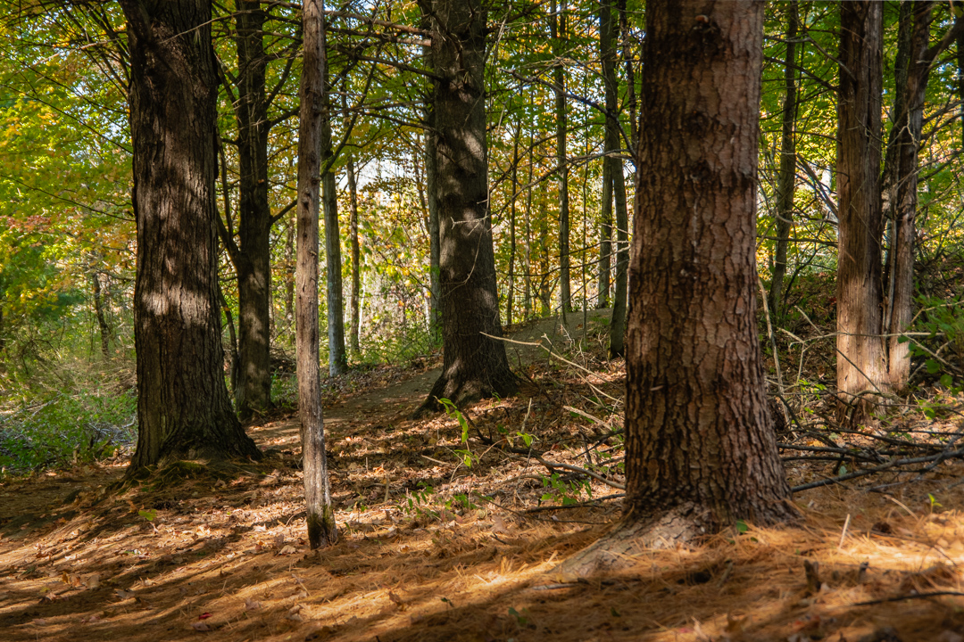 Charlotte Park and Wildlife Refuge