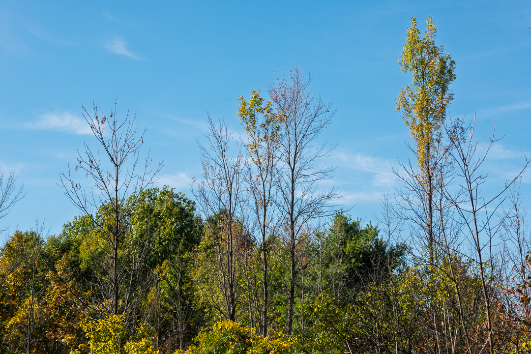 Charlotte Park and Wildlife Refuge