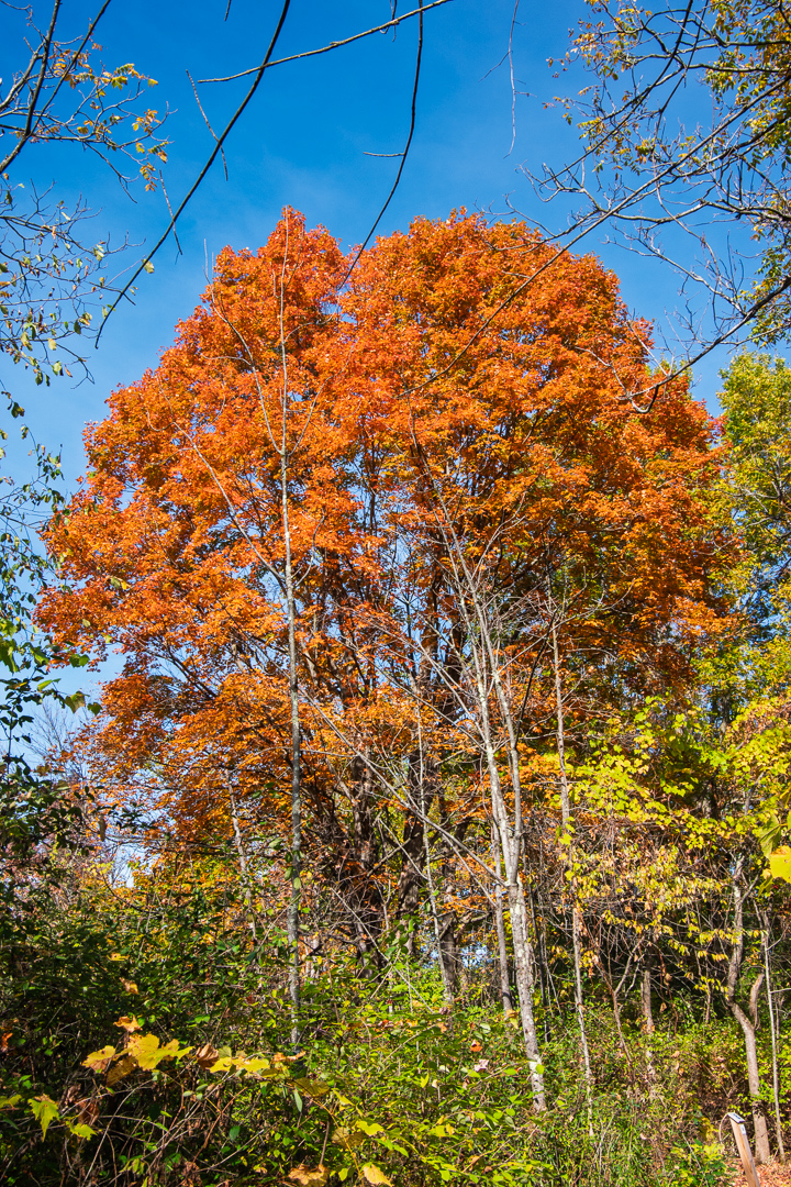 Charlotte Park and Wildlife Refuge