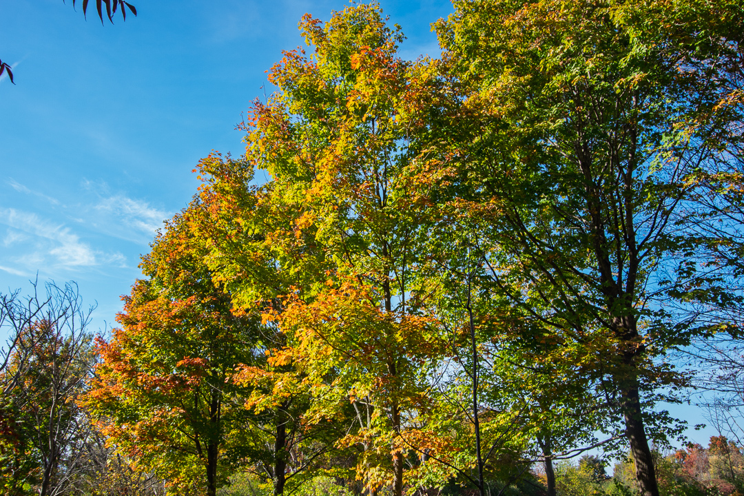 Charlotte Park and Wildlife Refuge