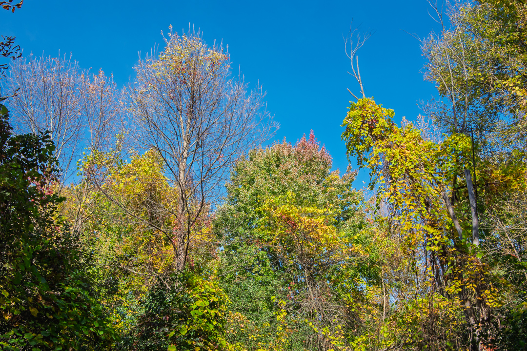 Charlotte Park and Wildlife Refuge