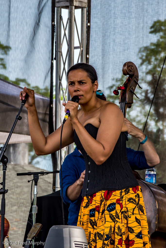 Rhiannon Giddens