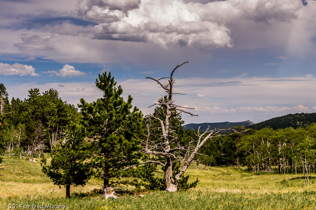 Caribou Ranch