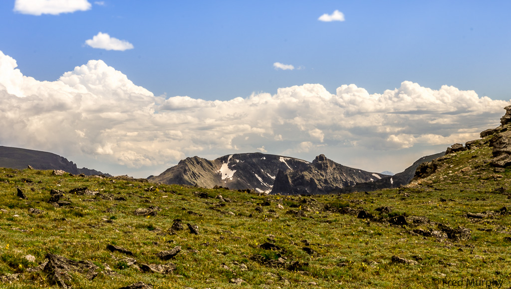 Vista from Trail Ridge Road