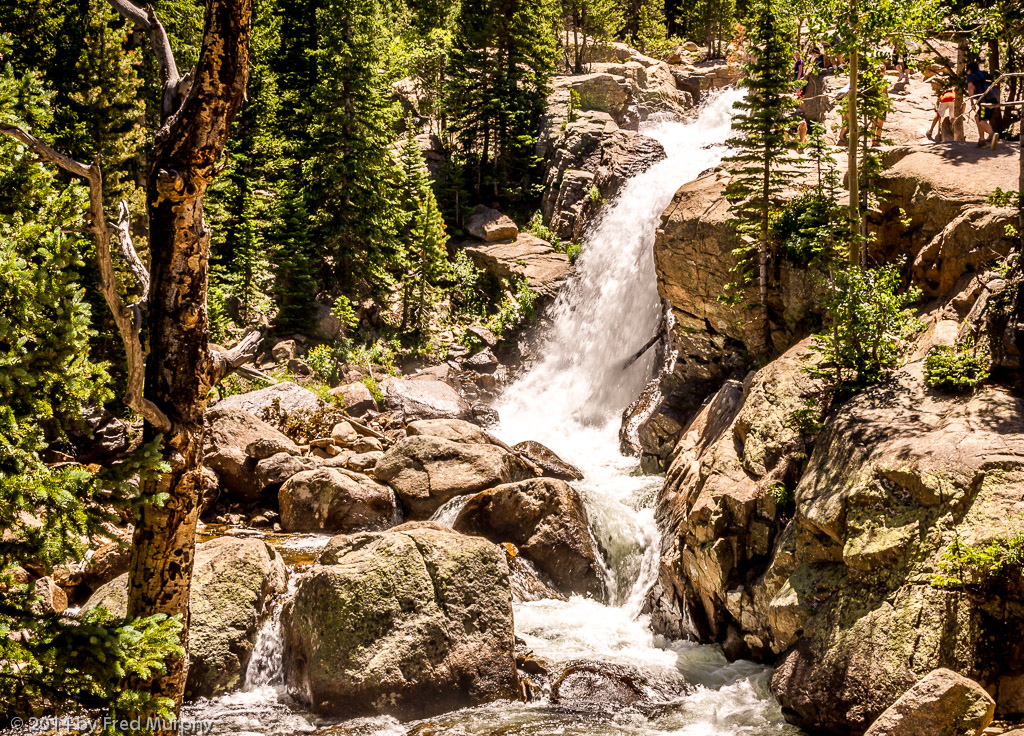 Alberta Falls