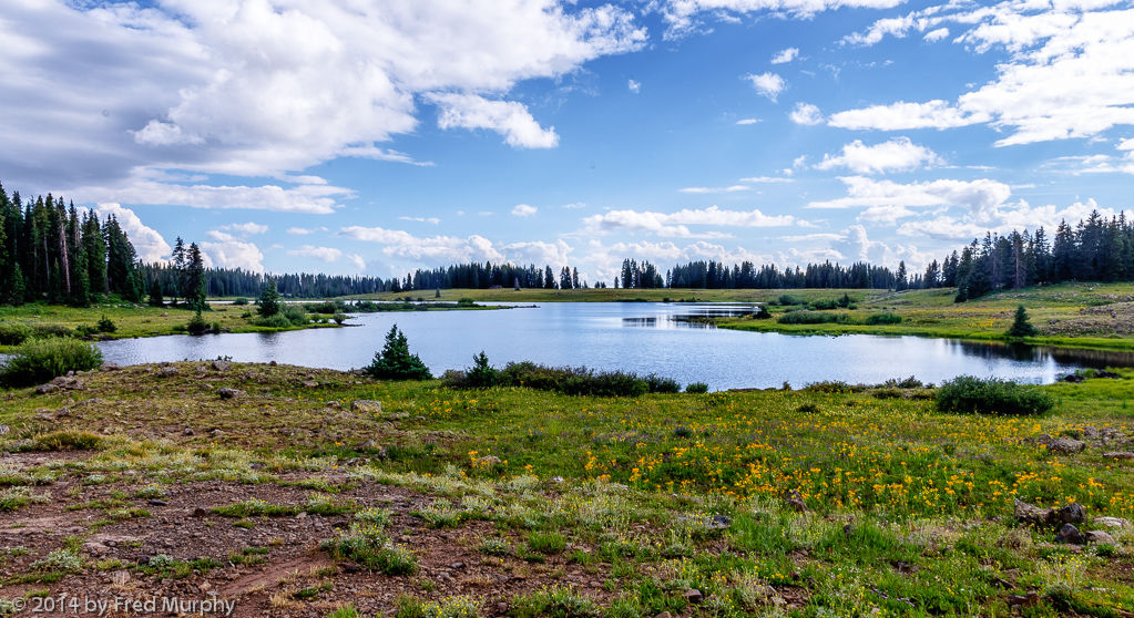 Grand Mesa