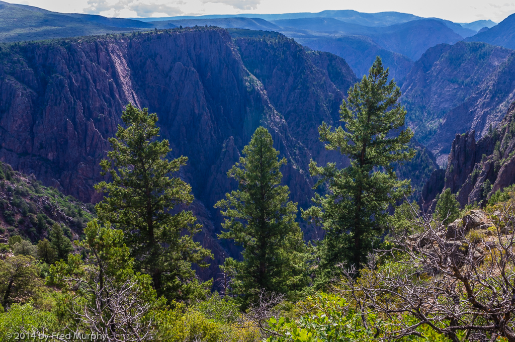 Black Canyon of the Gunnison