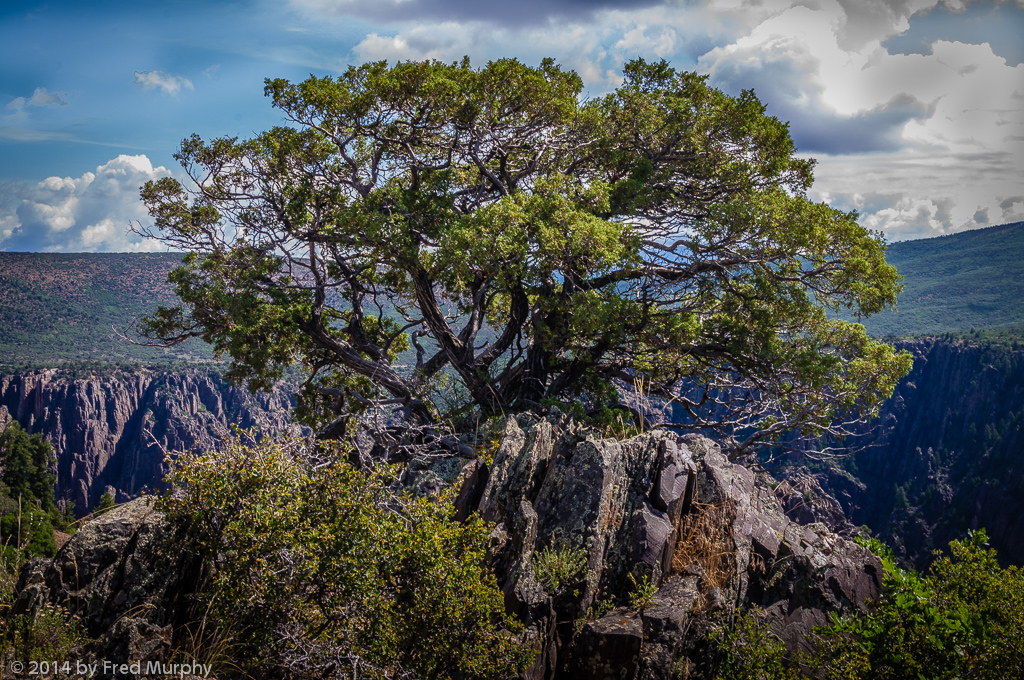 Black Canyon of the Gunnison