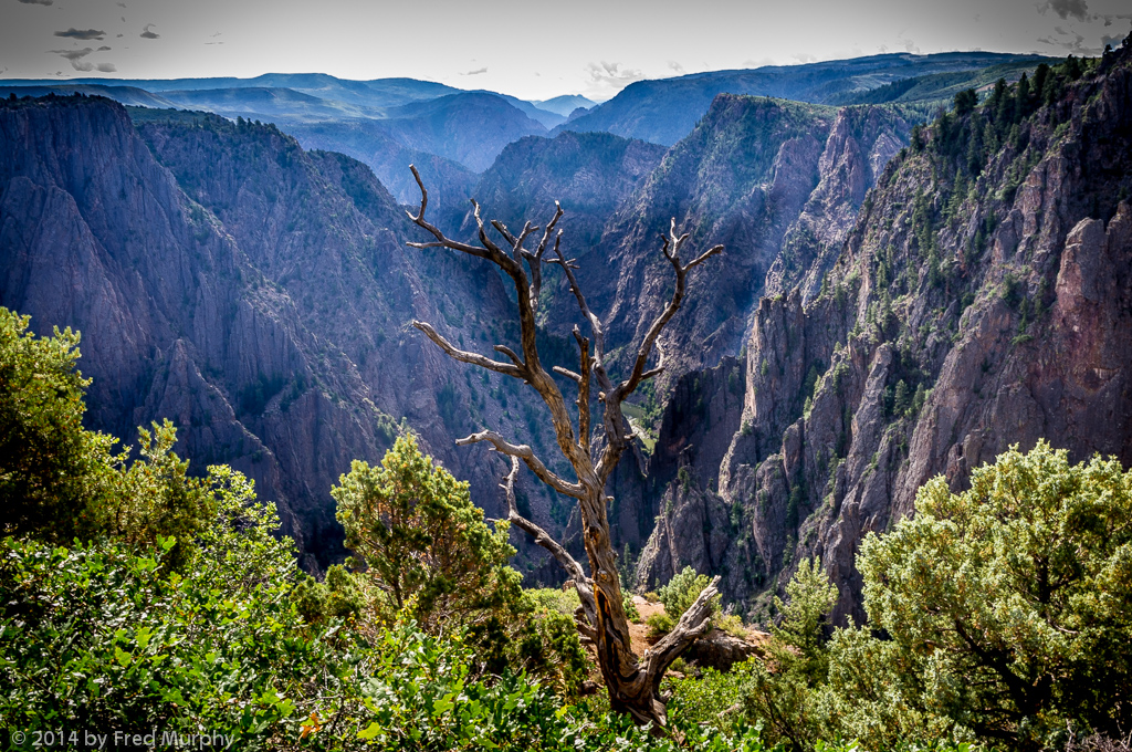 Black Canyon of the Gunnison