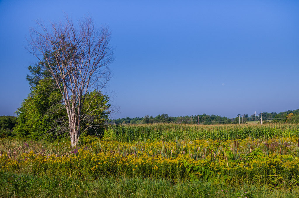 Along US Route 7