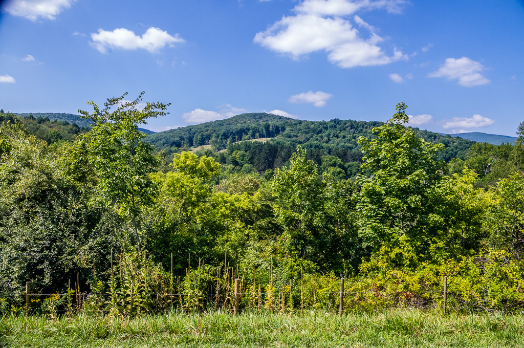 Berkshires from Clark Art Institute