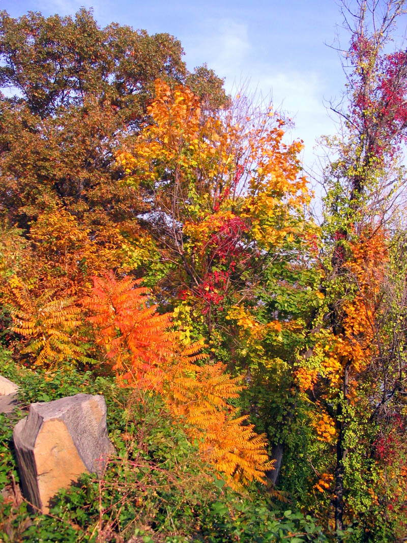 palisades03