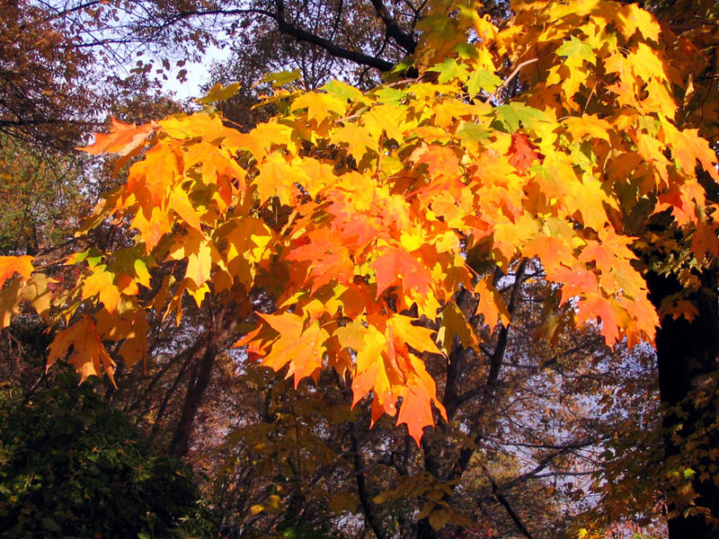 palisades05