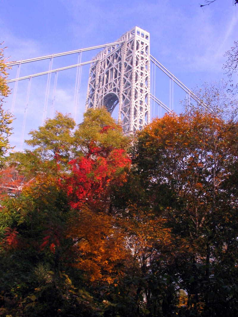 palisades06