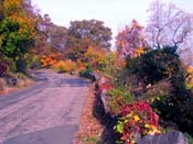 palisades01