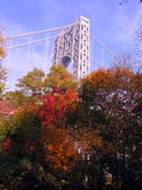 palisades06