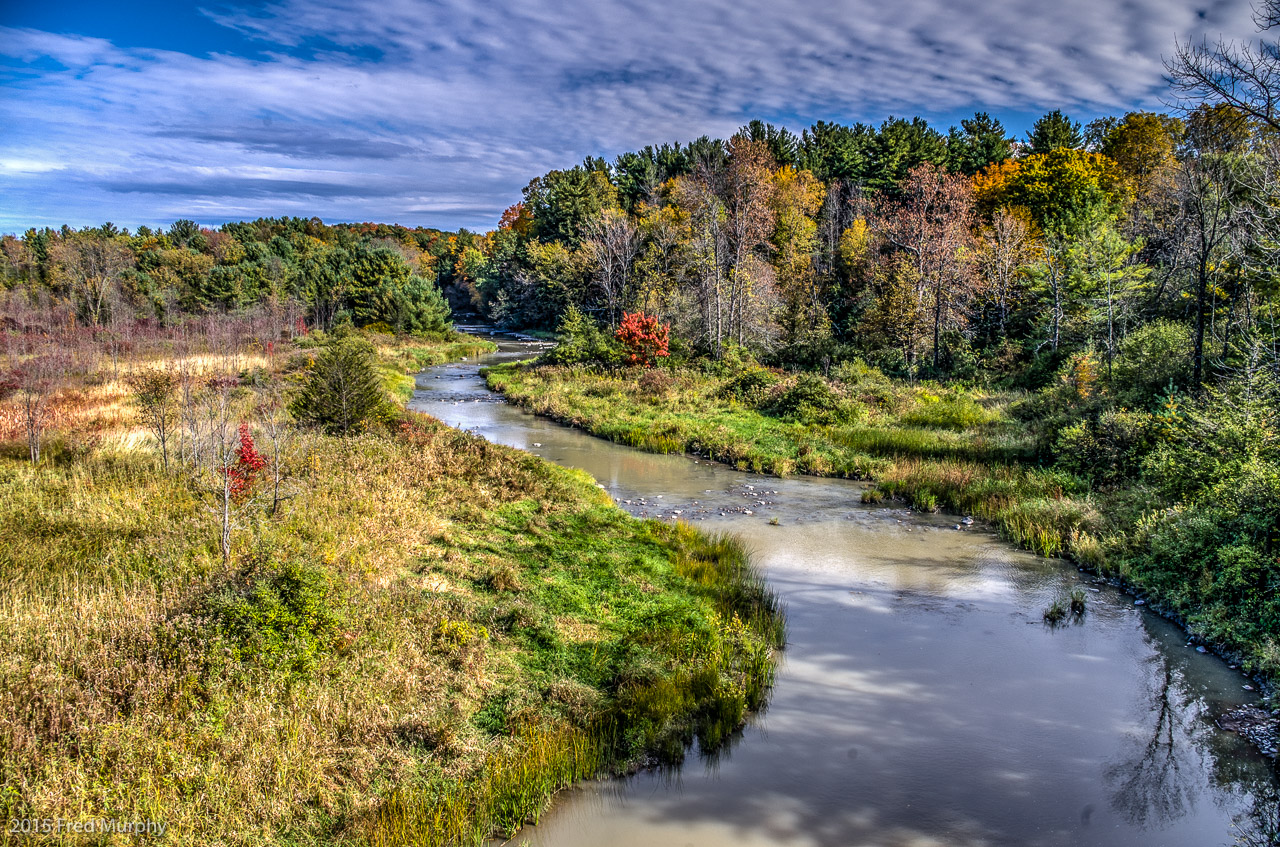 Lewis Creek