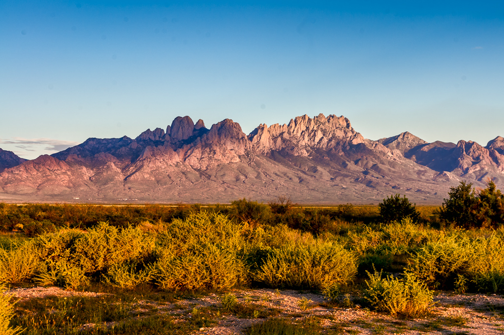 Organ Mountains