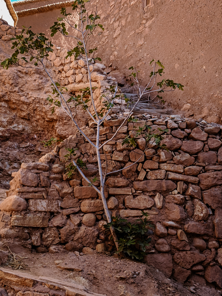 Ksar Ait-Ben-Haddou