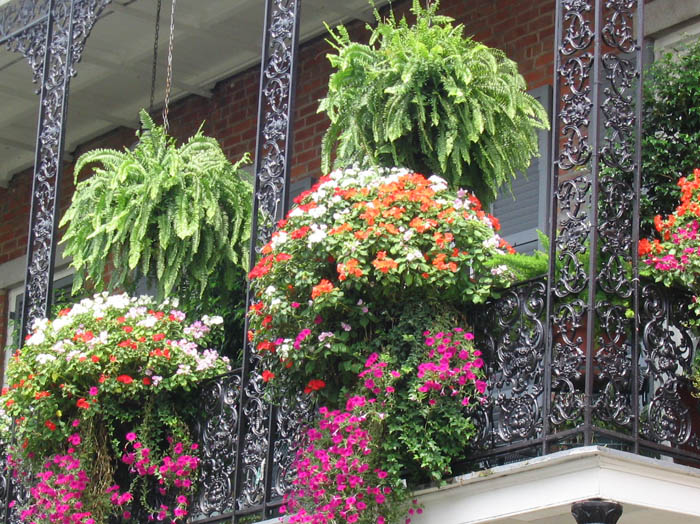 frenchquarter12