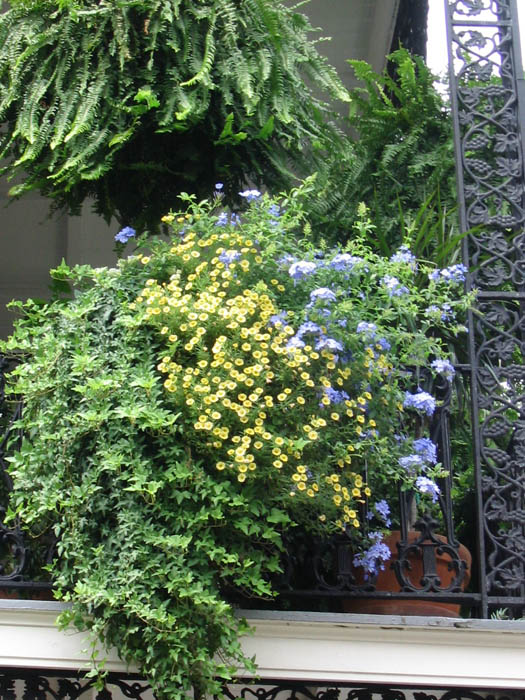 frenchquarter13